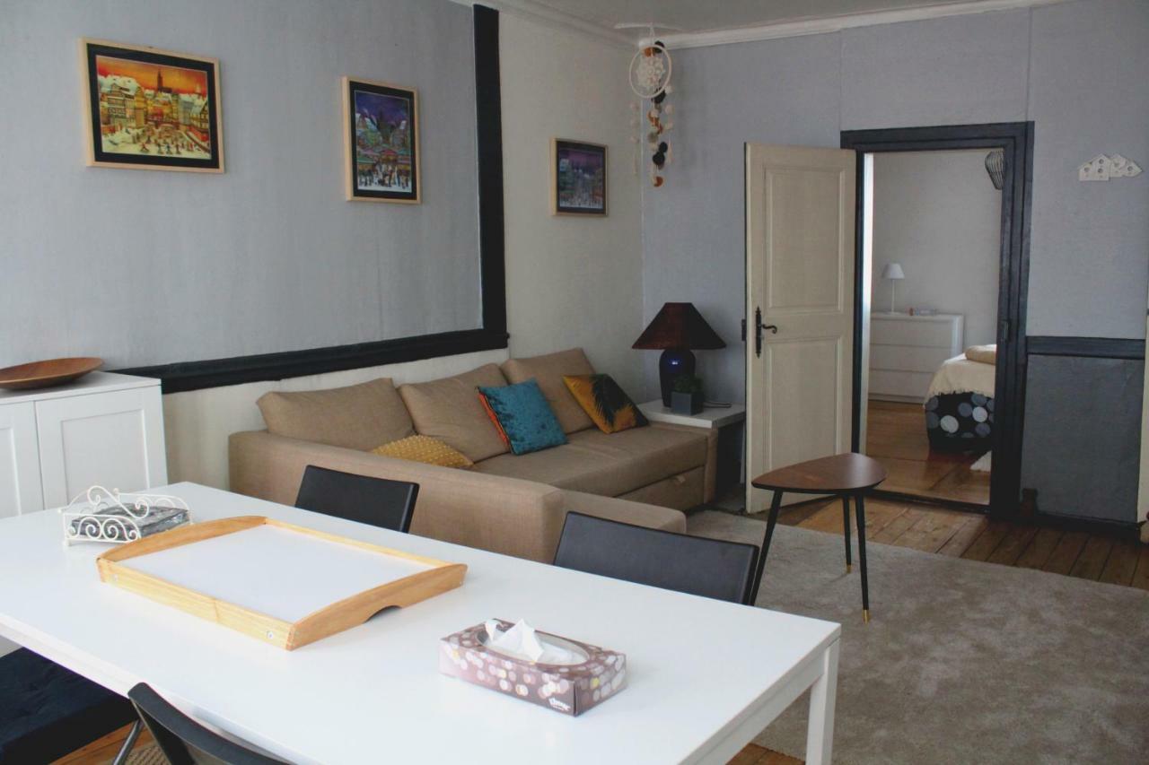 Charmant 2P Hypercentre + Wifi Apartment Strasbourg Ngoại thất bức ảnh